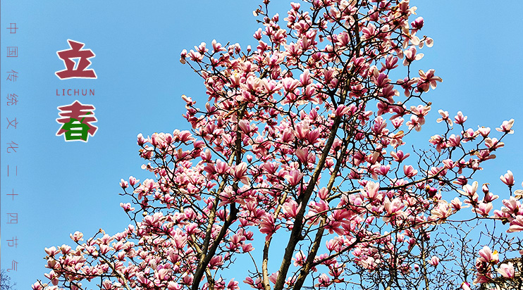 台硕检测传统节气：今日，立春！